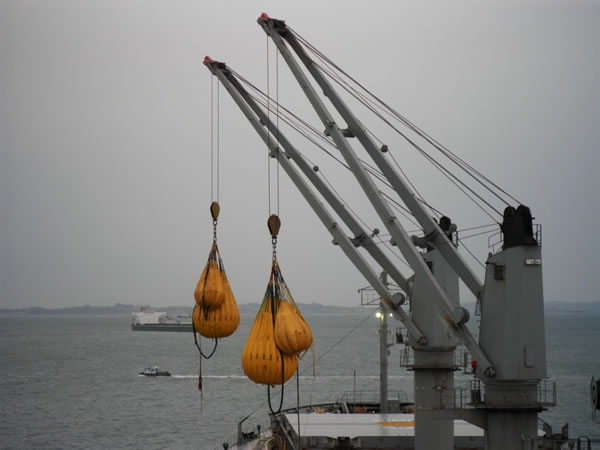 slewing ring application in ship crane Ứng dụng vòng xoay trong cần cẩu tàu