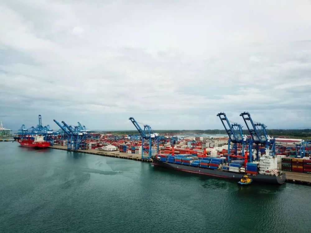 H&agrave;ng duy nhất b&oacute;ng bốn điểm tiếp x&uacute;c với Slewing Bear Breas